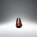 A pair of premium brown leather shoes with a supportive medicated sole for lasting comfort.